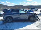 2024 Lexus Nx 350 Premium Gray vin: 2T2GGCEZ1RC043389