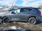 2024 Lexus Nx 350 Premium Gray vin: 2T2GGCEZ1RC043389