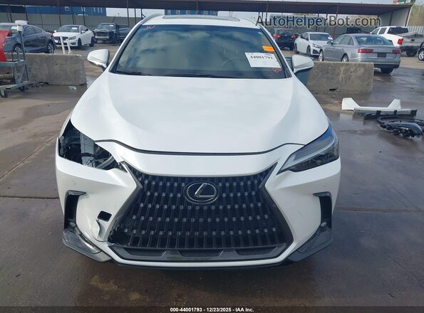 2T2GGCEZ2NC012551 2022 LEXUS NX 350 Белый Вид задней части салона