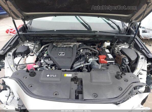 2T2GGCEZ4RC052099 2024 LEXUS NX 350 Gray Vista trasera