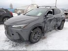 2025 Lexus Nx 350 Premium Gray vin: 2T2GGCEZ9SC069583 2025 Lexus Nx 350 Premium Gray vin: 2T2GGCEZ9SC069583