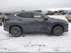 2025 Lexus Nx 350 Premium Gray vin: 2T2GGCEZ9SC069583 2025 Lexus Nx 350 Premium Gray vin: 2T2GGCEZ9SC069583