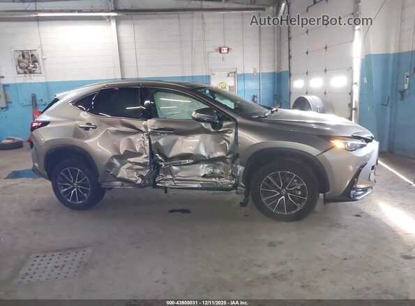 2T2GGCEZXRC058991 2024 LEXUS NX 350 Gray Widok wnętrza z tyłu