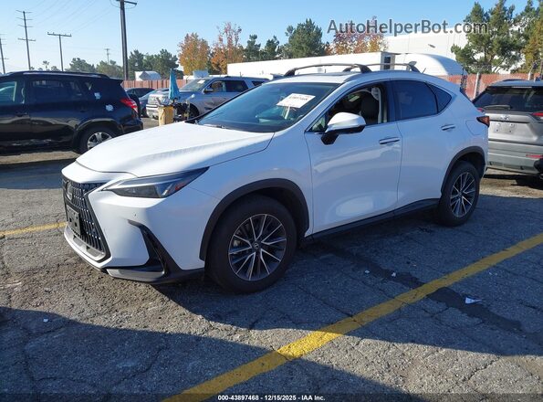 2T2GGCEZXTC095580 2026 LEXUS NX Белый Передняя левая четверть