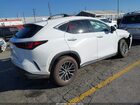 2026 Lexus Nx Nx 350 Premium Белый vin: 2T2GGCEZXTC095580