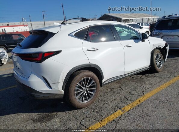 2T2GGCEZXTC095580 2026 LEXUS NX Белый Задняя правая четверть