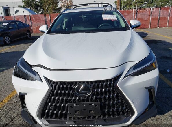 2T2GGCEZXTC095580 2026 LEXUS NX Белый Вид щитка приборов