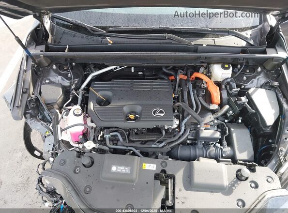2T2GKCEZ2SC039596 2025 LEXUS NX 350H Серый Вид сзади