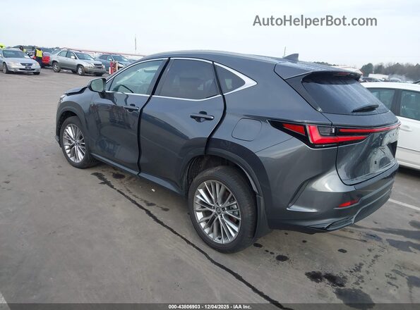 2T2GKCEZ2SC039596 2025 LEXUS NX 350H Серый Задняя левая четверть