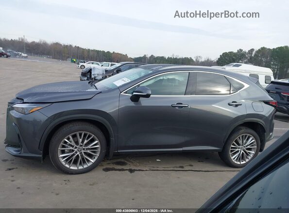 2T2GKCEZ2SC039596 2025 LEXUS NX 350H Серый Вид задней части салона