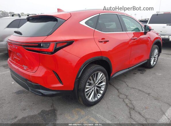 2T2GKCEZ4SC042046 2025 LEXUS NX 350H Red Задня права чверть
