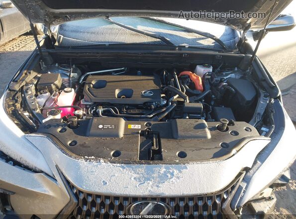 2T2GKCEZ5RC030045 2024 LEXUS NX 350H Brown Вид ззаду