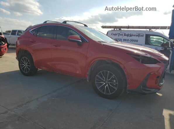2T2GKCEZ9RC029237 2024 LEXUS NX Red Առջևի աջ