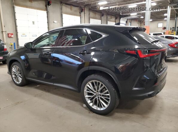 2T2GKCEZ9SC054533 2025 LEXUS NX Black უკანა მარცხენა
