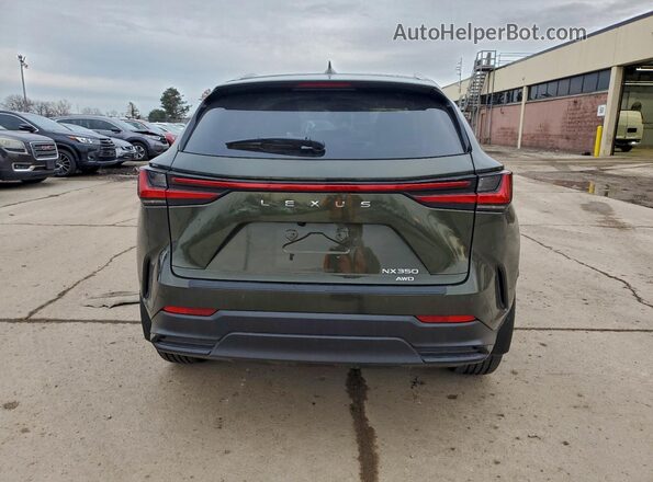 2T2HGCEZ3SC090840 2025 LEXUS NX Green Rear view