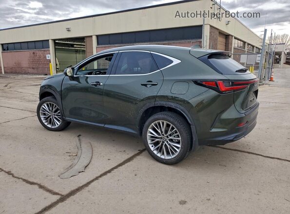 2T2HGCEZ3SC090840 2025 LEXUS NX Green Rear left