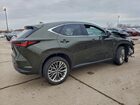 2025 Lexus Nx 350 Luxury Green vin: 2T2HGCEZ3SC090840 2025 Lexus Nx 350 Luxury Green vin: 2T2HGCEZ3SC090840