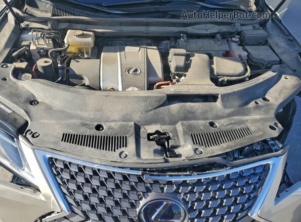 2T2HGMDAXLC051701 2020 LEXUS RX Tan Widok wnętrza z tyłu