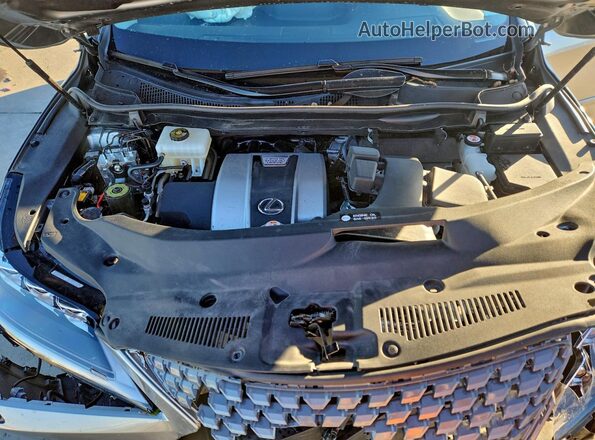 2T2JGMDA4MC062535 2021 LEXUS RX Серый Вид задней части салона