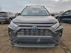 2020 Toyota Rav4 Limited Серый vin: 2T3DWRFV0LW047259