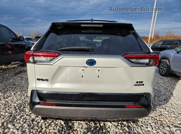 2T3E6RFV2MW005620 2021 TOYOTA RAV4 White უკანა ხედი