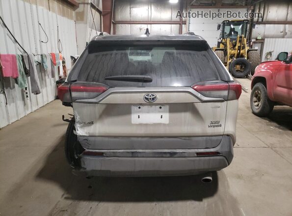 2T3E6RFV6MW019133 2021 TOYOTA RAV4 Белый Вид сзади