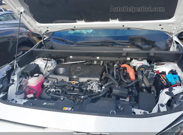 2T3EWRFV1LW081473 2020 TOYOTA RAV4 HYBRID Белый Вид сзади