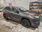 2024 Toyota Rav4 Le Угольный vin: 2T3F1RFV4RW435112