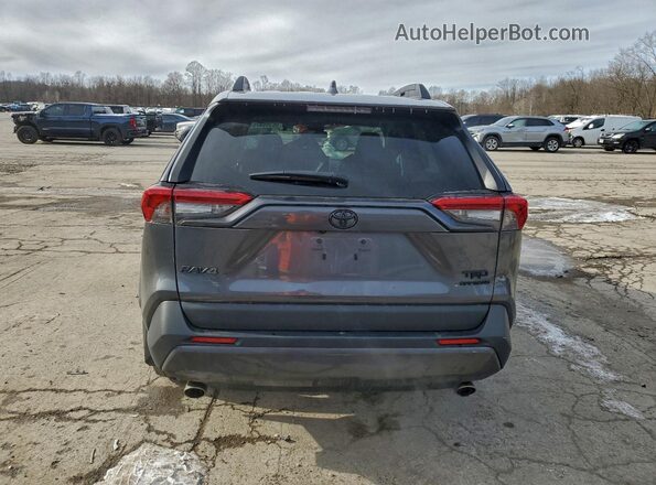 2T3J1RFV1LC074229 2020 TOYOTA RAV4 Gray Widok z tyłu