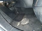 2020 Toyota Rav4 Adventure Синий vin: 2T3J1RFV9LC082675 Damage: Left Front Carpet, Torn, > 12 Inches