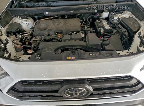 2T3J1RFVXRW464219 2024 TOYOTA RAV4 Белый Вид задней части салона