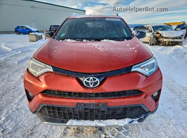 2T3JFREV7GW448236 2016 TOYOTA RAV4 Оранжевый Вид спереди
