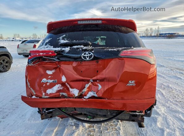 2T3JFREV7GW448236 2016 TOYOTA RAV4 Оранжевый Вид сзади