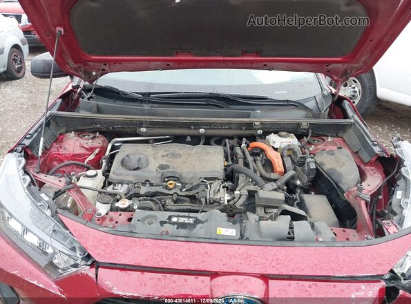 2T3LWRFV0LW093296 2020 TOYOTA LE Темно-бордовый Вид сзади