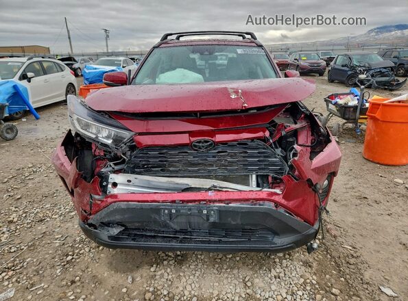 2T3P1RFV7MW195910 2021 TOYOTA RAV4 Burgundy Widok z przodu