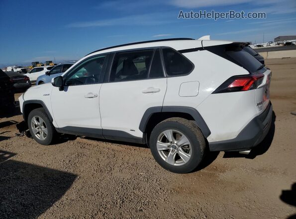 2T3RWRFV1LW050080 2020 TOYOTA RAV4 White Trasero izquierdo