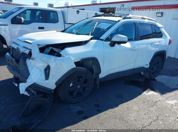 2T3UWRFV4PW166373 2023 TOYOTA RAV4 HYBRID White Widok wnętrza z tyłu