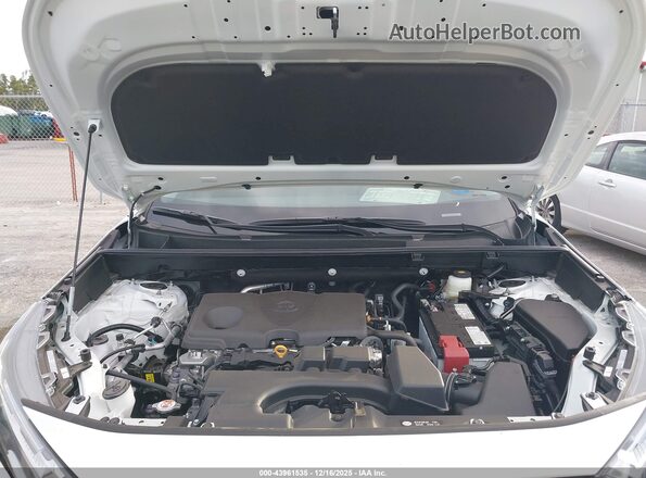 2T3W1RFV1SC350610 2025 TOYOTA LE White Widok z tyłu