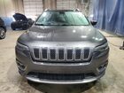 2019 Jeep Cherokee Limited Серый vin: 1C4PJMDNXKD210836