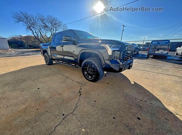 5TFLA5DBXSX329270 2025 TOYOTA TUNDRA Черный Задняя левая четверть