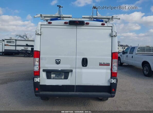 3C6TRVAG5LE135344 2020 RAM PROMASTER 1500 Белый 
