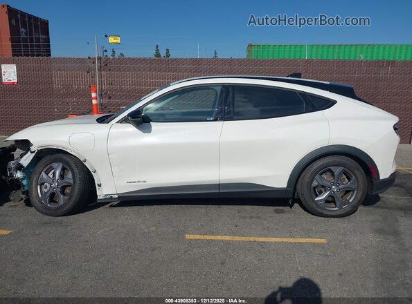 3FMTK1SS5PMA00851 2023 FORD MUSTANG MACH-E Белый 