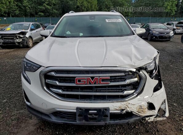 3GKALVEV4LL301380 2020 GMC TERRAIN Белый Вид спереди