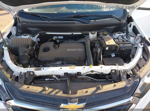 3GNAXUEV2MS137720 2021 CHEVROLET EQUINOX White უკანა ხედი