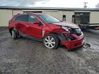 2016 Cadillac Srx Premium Collection Red vin: 3GYFNDE31GS577946 2016 Cadillac Srx Premium Collection Red vin: 3GYFNDE31GS577946