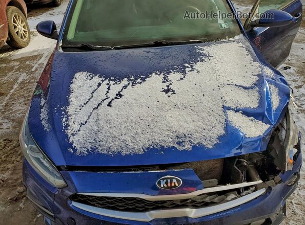 3KPF24AD4LE179636 2020 KIA FORTE Синий Вид задней части салона