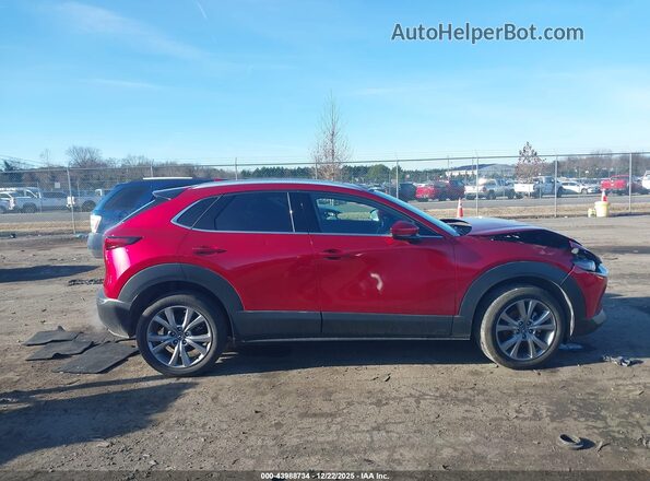 3MVDMADLXMM248855 2021 MAZDA CX-30 Красный Вид задней части салона