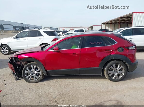3MVDMBDL5MM309616 2021 MAZDA CX-30 Белый Панорамный вид салона 360°