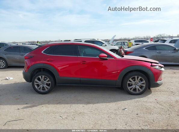 3MVDMBDL5MM309616 2021 MAZDA CX-30 Белый Вид задней части салона