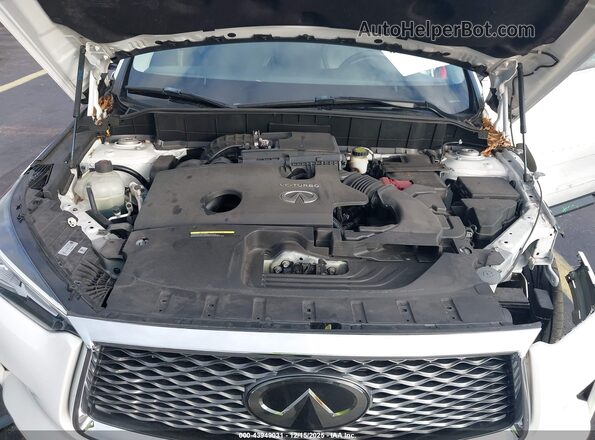 3PCAJ5AA4MF114497 2021 INFINITI QX50 White Vista trasera